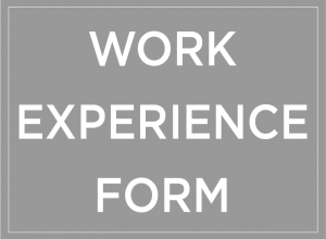 Work Experience Form Button
